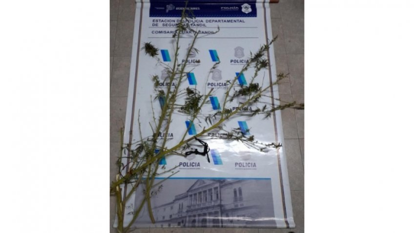 Personal policial dio con el culpable de un robo y en el mismo allanamiento secuestró marihuana y municiones